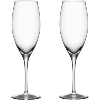 Orrefors Set of 2 Premier Champagne Glasses in Clear at Nordstrom