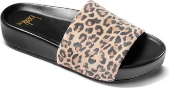 beek Pelican Slide Sandal in Leopard Print/Black at Nordstrom Rack, Size 11