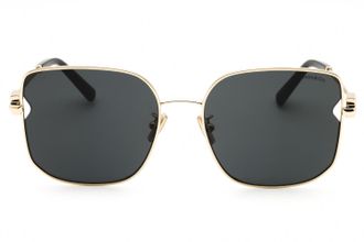Tiffany & Co. Womens 0tf3105d Sunglasses Gold