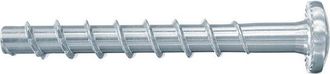 Fischer 100x Ultracut Fbs Ii 6 X 80/25 P Panhead - 546381