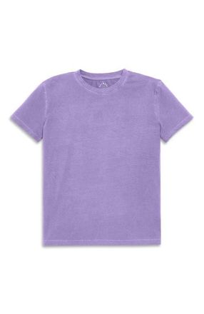 primary Womens Fit Easy Crewneck Tee in Garment Dye Iris at Nordstrom, Size Xx-Large