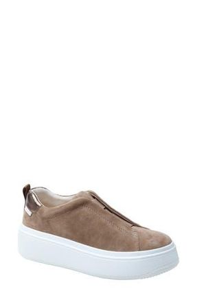 Linea Paolo Golde Platform Sneaker in Taupe at Nordstrom Rack, Size 7.5