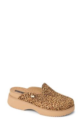 Reef Vista Skye Platform Clog in Leopard at Nordstrom, Size 10