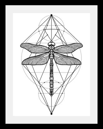 Queence Bild »Libelle« Insekten Kunst Schwarz-Weiss Tiere HD Premium Poster-Druck inkl. Holzrahmen