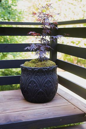 Terrain Paloma Ceramic Planter, 18