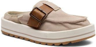 Sanuk Donna Loafer in Oxford Tan at Nordstrom, Size 10