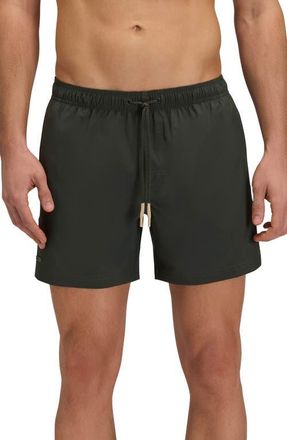 Sundek Solid Swim Trunks in Pine at Nordstrom, Size X-Large
