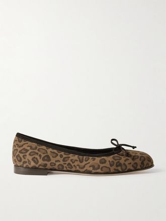 Manolo Blahnik Ballerine In Camoscio Leopardato Con Fiocco Veralli - Stampa animalier
