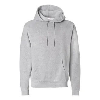 Hanes Ecosmart Hooded Sweatshirt
