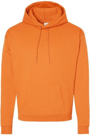 Hanes Ecosmart Hooded Sweatshirt