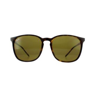Ray-Ban Zonnebril RB4387 710/73 Schildpadshell Bruin