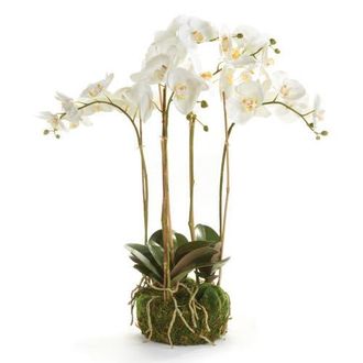 Napa Home & Garden Phalaenopsis Orchid Faux (Fake) Bowl Drop-In 25 in White at Nordstrom