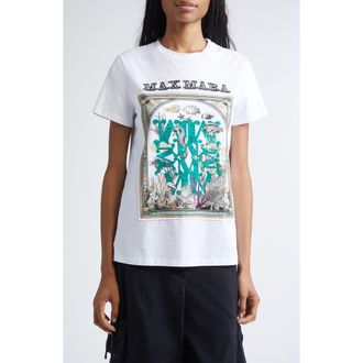 Max Mara Spadino Graphic T-Shirt in Optical White at Nordstrom, Size X-Large