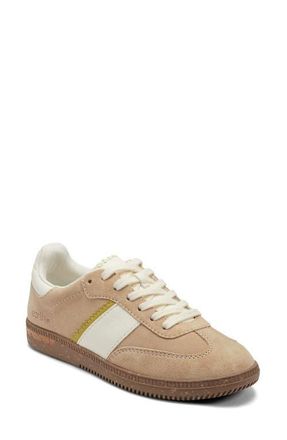 Earth Penny Leather Sneaker in Light Brown at Nordstrom, Size 8.5