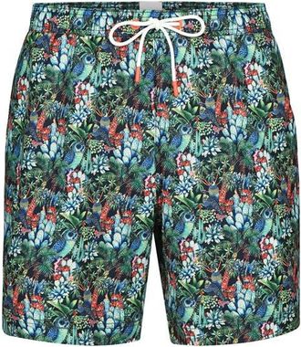 Swims Breeze Swim Trunks in Grass at Nordstrom, Size Xx-Large