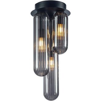 OEM L&aacute;mpara De Techo Pax Black 3xg9