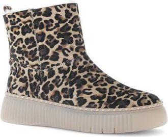 Gabor Genuine Shearling Lined Platform Bootie in Natural at Nordstrom, Size 9.5Us