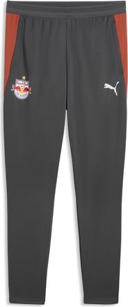Puma Pantaloni da training FC RB Salzburg da uomo, Accessori, Grigio, 3XL