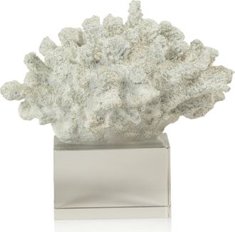Zodax Coral on Base Decor in White/Clear at Nordstrom Rack