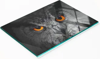 OEM Tabla De Cristal Para Servir Aperitivos Con Dise&ntilde;o De B&uacute;ho Y Ojos Diab&oacute;licos, 80x52 Cm
