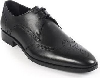 Vella Pais Pelican Wingtip Derby in Black at Nordstrom Rack, Size 14