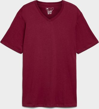 Le 31 Mens V-neck T-shirt Standard fit