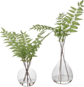 Uttermost Set Of 2 Country Ferns