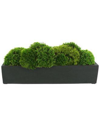 Creative Displays Inc. Mood Moss Arranged In Fiberstone Planter
