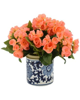 Creative Displays Inc. Peach Orange Begonia Floral Arrangement