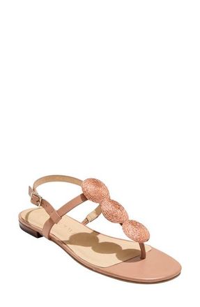 Jack Rogers Worth Slingback Sandal in Caf Au Lait at Nordstrom, Size 6.5