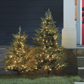 Ballard Designs Staked Twinkling Fraser Fir Tree - 3 - Ballard Designs
