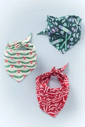 Anthropologie Pet Bandana Pack