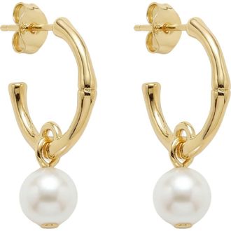 Argento Vivo Faux Pearl Drop Hoop Earrings in Gold at Nordstrom