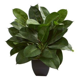 Nearly Natural Oak Ficus Artificial Plant in Green at Nordstrom