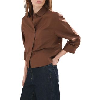 Mango Stripe Cotton Button-Up Shirt in Brown at Nordstrom, Size 16