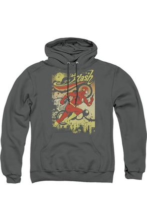 Gildan DC Comics Flash Just Passing Through Adult Pull Over Hoodie / Hooded Sweatshirt