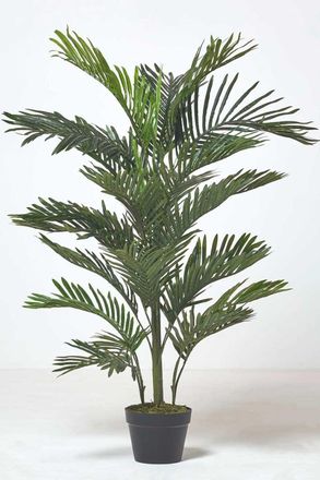 Homescapes Multi Stem Green Palm Tree in Pot, 180 cm