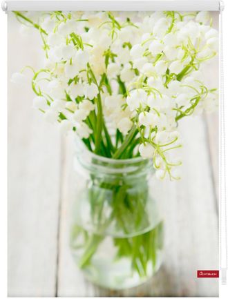 Lichtblick Original Seitenzugrollo »Rollo Klemmfix, ohne Bohren, Verdunkelung, Maiglöckchen - Weiss« verdunkelnd Verdunkelung energiesparend freihängend