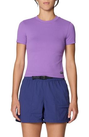 Mountain Hardwear Peak Knit Short Sleeve Tee in Purple Plummet at Nordstrom, Size X-Small