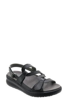 David Tate Femme Wedge Sandal in Black at Nordstrom Rack, Size 7