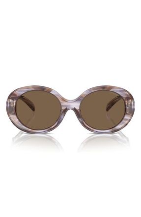Emporio Armani 53mm Oval Sunglasses in Striped Brown /Dark Brown at Nordstrom