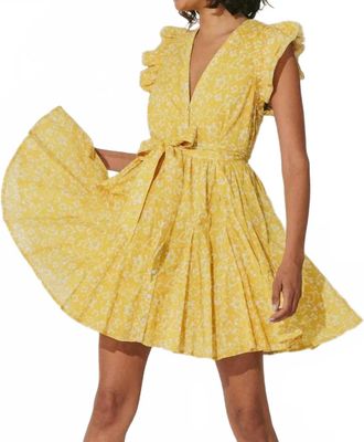 Cleobella Zia Mini Dress In Cassia