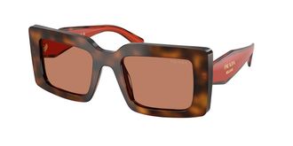 Prada PR D01S 01K90Q Womens Sunglasses Tortoiseshell Size 52