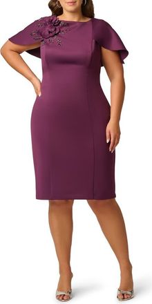 Adrianna Papell Floral Appliqu&eacute;d Scuba Sheath Dress in Pinot Noir at Nordstrom, Size 18W