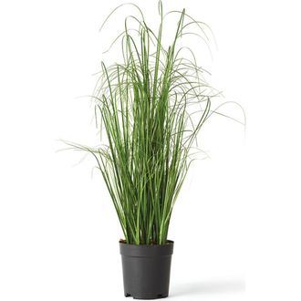 Napa Home & Garden Onion Grass Artificial Drop-In 25 in Green at Nordstrom