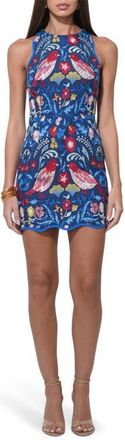 Adelyn Rae Floral Embroidery Sleeveless Minidress in Blue Multi at Nordstrom, Size X-Large