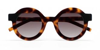Kaleos Pollitt II C2 Mens Sunglasses Tortoiseshell Size 46