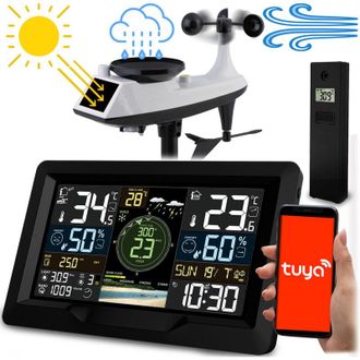 OEM Estaci&oacute;n Meteorol&oacute;gica Con Sensor De Viento Y Lluvia Bd-914 Negro