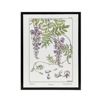 Artery8 Wisteria Flower Framed Canvas Wall Art Print Vintage Floral Verneuil in White | Size: W24 x H32