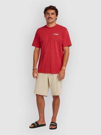 O'Neill ONeill Hybrid 19 Melange Pantalones Cortos